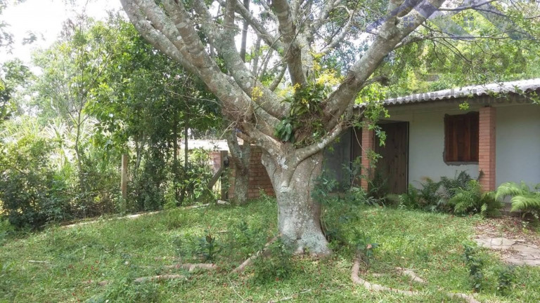 Imagem Imóvel com 3 Quartos à Venda, 20.000 m² em Itapua - Porto Alegre Imagem Imóvel com 3 Quartos à Venda, 20.000 m² em Itapua - Porto Alegre