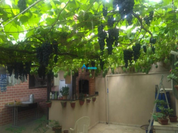 Imagem Casa com 3 Quartos à Venda, 250 m² em Vila Olímpia - Campo Limpo Paulista Imagem Casa com 3 Quartos à Venda, 250 m² em Vila Olímpia - Campo Limpo Paulista