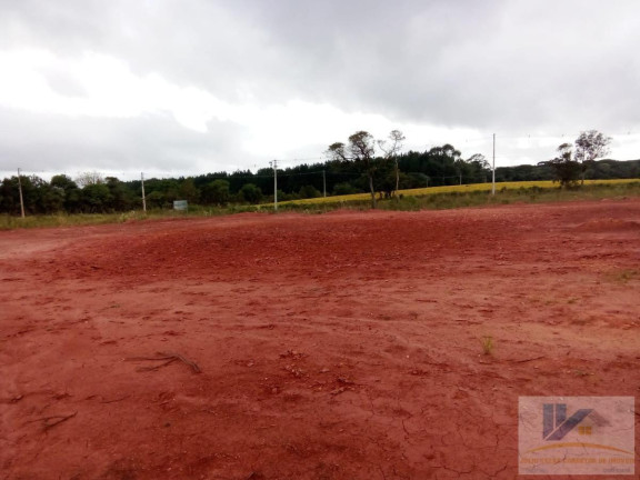 Imagem Terreno à Venda, 4.411 m² em Campo Largo Da Roseira - São José Dos Pinhais