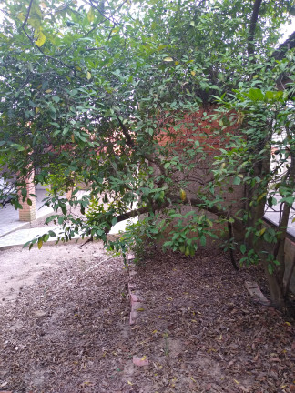 Imagem Imóvel com 2 Quartos à Venda, 820 m² em Recando Internacional Viracopos Gleba-4 - Indaiatuba Imagem Imóvel com 2 Quartos à Venda, 820 m² em Recando Internacional Viracopos Gleba-4 - Indaiatuba