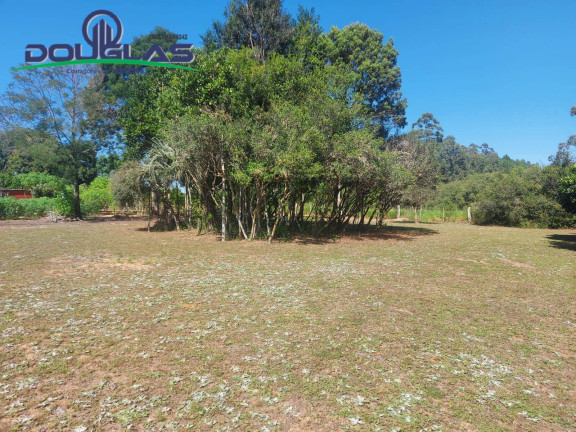 Imagem Chácara com 2 Quartos à Venda, 11.000 m² em Viamão