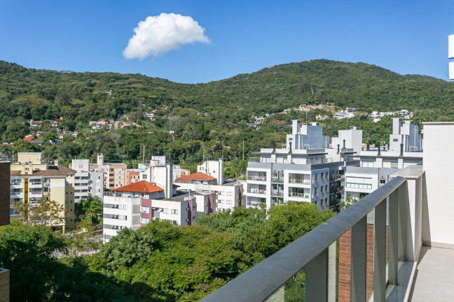 Imagem Imóvel com 2 Quartos à Venda, em Córrego Grande - Florianópolis Imagem Imóvel com 2 Quartos à Venda, em Córrego Grande - Florianópolis