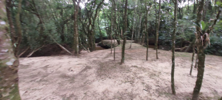 Imagem Chácara com 3 Quartos à Venda, 3.000 m² em Bugre - Balsa Nova