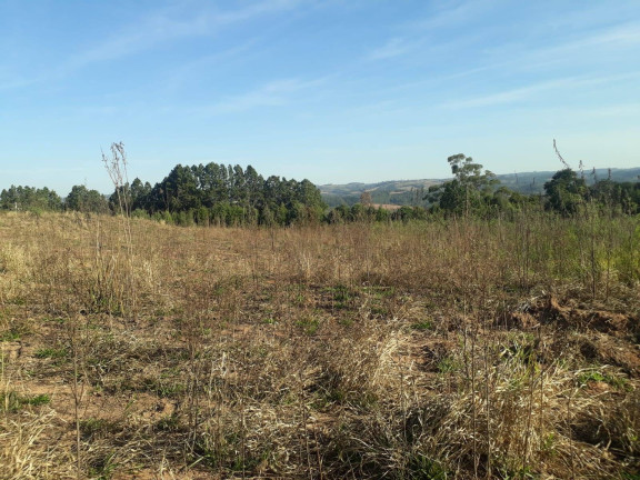 Imagem Terreno à Venda, 28.000 m² em Ortizes - Piedade Imagem Terreno à Venda, 28.000 m² em Ortizes - Piedade