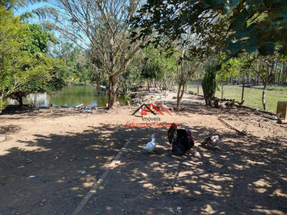 Imagem Fazenda à Venda, 250 m² em Pegorelli - Caraguatatuba
