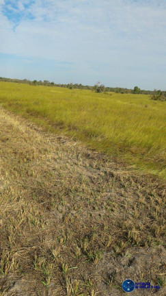 Imagem Fazenda à Venda, 1 m² em Zona Rural - Lagoa Da Confusão Imagem Fazenda à Venda, 1 m² em Zona Rural - Lagoa Da Confusão