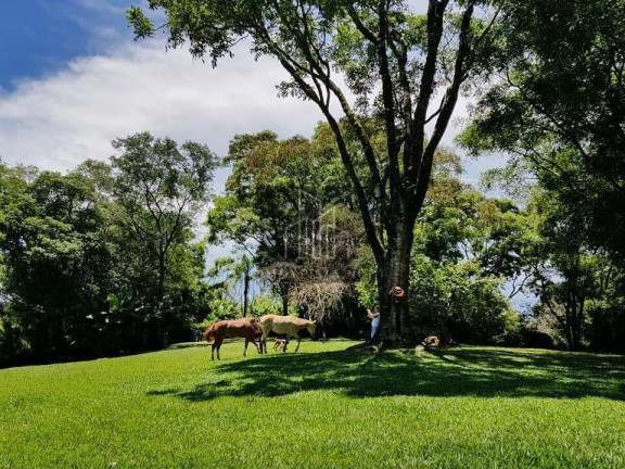 Imagem Imóvel com 4 Quartos à Venda, 2.000 m² em Jardim Europa Ii - Avaré Imagem Imóvel com 4 Quartos à Venda, 2.000 m² em Jardim Europa Ii - Avaré