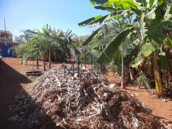 Imagem Terreno à Venda, 375 m² em Jardim Mont Serrat Complemento - Aparecida De Goiânia Imagem Terreno à Venda, 375 m² em Jardim Mont Serrat Complemento - Aparecida De Goiânia