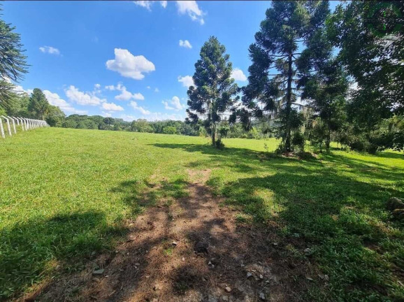 Imagem Terreno à Venda, 20.000 m² em Colônia Dona Luíza - Ponta Grossa Imagem Terreno à Venda, 20.000 m² em Colônia Dona Luíza - Ponta Grossa