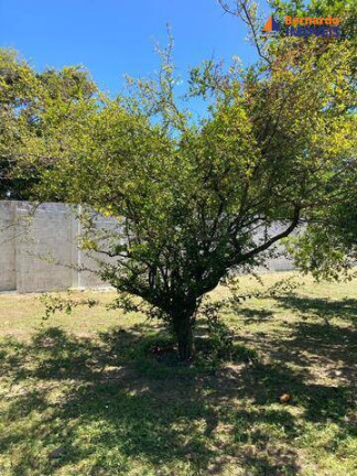 Imagem Chácara com 3 Quartos à Venda, 9 m² em Tijucussú - Cascavel Imagem Chácara com 3 Quartos à Venda, 9 m² em Tijucussú - Cascavel
