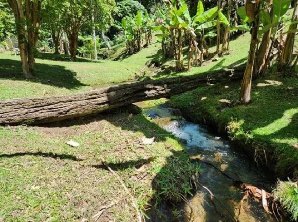 Imagem Chácara à Venda, 50 m² em Rio Bonito( Lumiar ) - Nova Friburgo Imagem Chácara à Venda, 50 m² em Rio Bonito( Lumiar ) - Nova Friburgo