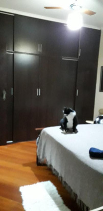 Imagem Apartamento com 3 Quartos à Venda, 100 m² em Campestre - Santo André Imagem Apartamento com 3 Quartos à Venda, 100 m² em Campestre - Santo André