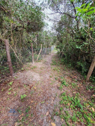 Imagem Terreno à Venda, 4 m² em Macacú - Garopaba Imagem Terreno à Venda, 4 m² em Macacú - Garopaba