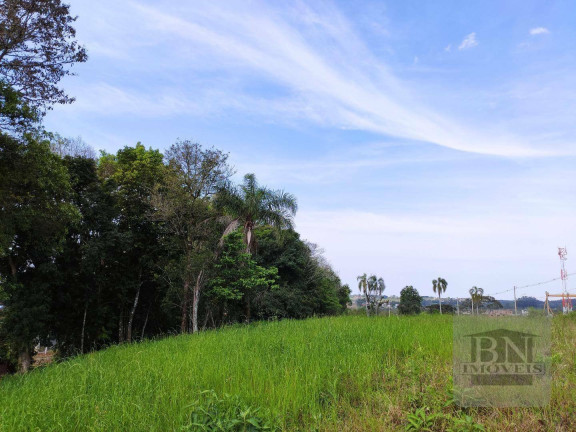 Imagem Terreno à Venda, 515 m² em Linha Santa Cruz - Santa Cruz Do Sul Imagem Terreno à Venda, 515 m² em Linha Santa Cruz - Santa Cruz Do Sul