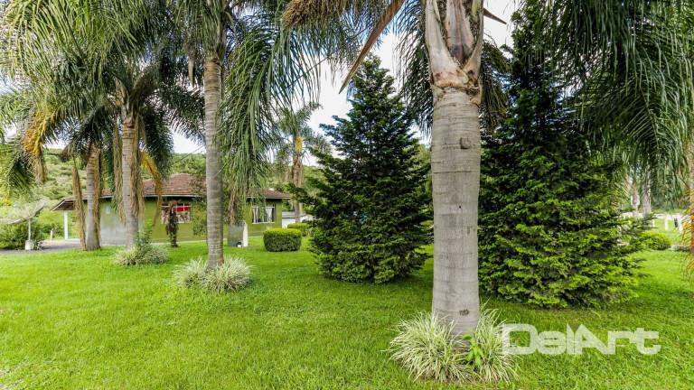 Imagem Chácara com 3 Quartos à Venda, 155 m² em Fazendinha - Rio Negro Imagem Chácara com 3 Quartos à Venda, 155 m² em Fazendinha - Rio Negro