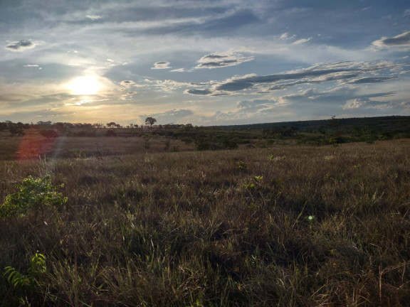 Imagem Fazenda à Venda, 1.046 m² em Arinos - Arinos