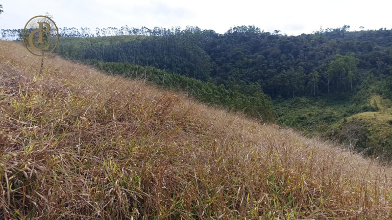 Imagem Terreno à Venda, 100 m² em Centro - Paraibuna Imagem Terreno à Venda, 100 m² em Centro - Paraibuna