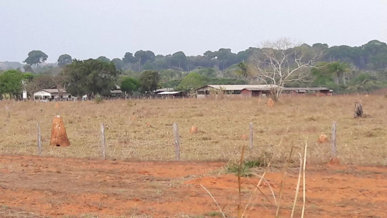 Imagem Fazenda à Venda, 242 m² em Zona Rural - Itaúba Imagem Fazenda à Venda, 242 m² em Zona Rural - Itaúba