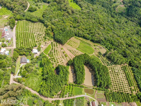 Imagem Chácara à Venda, 216.000 m² em Linha 28 - Gramado Imagem Chácara à Venda, 216.000 m² em Linha 28 - Gramado