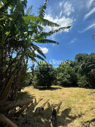 Imagem Chácara à Venda, 3.000 m² em Vale Das Laranjeiras - Indaiatuba Imagem Chácara à Venda, 3.000 m² em Vale Das Laranjeiras - Indaiatuba