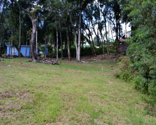 Imagem Imóvel com 2 Quartos à Venda, 43 m² em Logradouro - Nova Petrópolis Imagem Imóvel com 2 Quartos à Venda, 43 m² em Logradouro - Nova Petrópolis