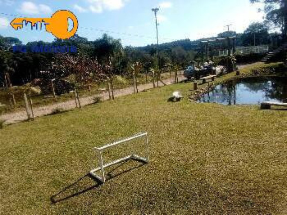Imagem Chácara com 4 Quartos à Venda, 3.039 m² em Areia Branca - Mandirituba