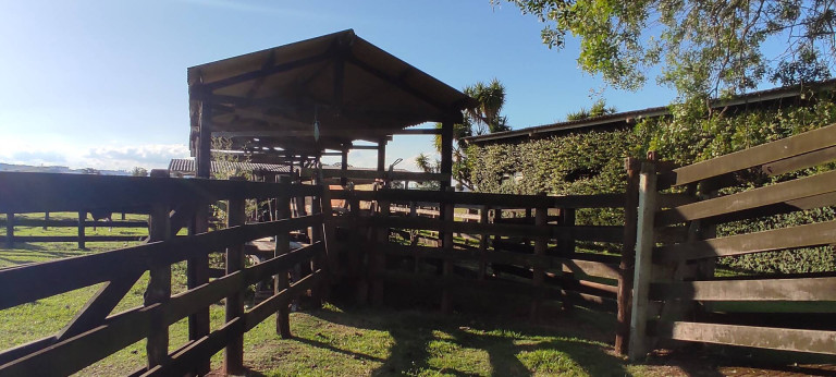Imagem Chácara com 4 Quartos à Venda, 63 m² em Jardim Marabá - Itapetininga Imagem Chácara com 4 Quartos à Venda, 63 m² em Jardim Marabá - Itapetininga