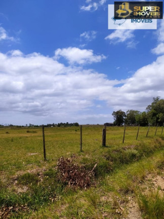 Imagem Imóvel com 2 Quartos à Venda, 60.000 m² em Quinta - Rio Grande