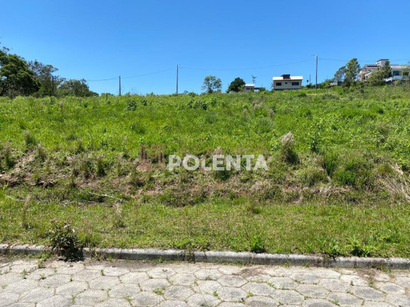 Imagem Terreno à Venda, 434 m² em Mina Do Mato - Criciúma