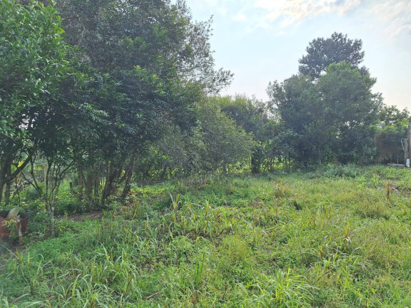 Imagem Terreno à Venda, 850 m² em Fiuza - Viamão