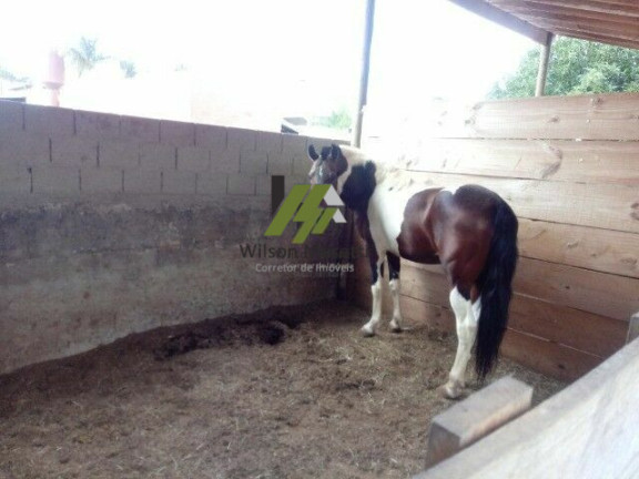Imagem Fazenda à Venda, 1.000 m²