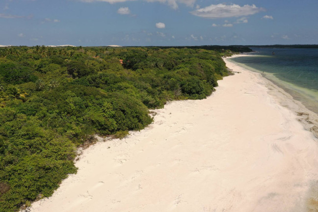 Imagem Terreno à Venda, 30.000 m² em Lagoa Do Paraíso - Jijoca De Jericoacoara