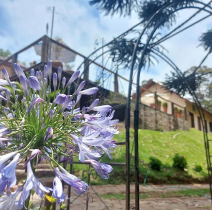 Imagem Imóvel com 7 Quartos à Venda, 700 m² em Recreio Da Serra - Piraquara