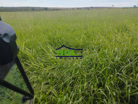 Imagem Fazenda à Venda, 487 m² em Hidrolândia