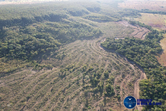 Imagem Fazenda à Venda, 106 m² em Zona Rural - Bom Jardim De Goiás Imagem Fazenda à Venda, 106 m² em Zona Rural - Bom Jardim De Goiás