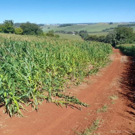 Imagem Fazenda à Venda, 14.157.000 m² em água Das Abóboras - Ibiporã Imagem Fazenda à Venda, 14.157.000 m² em água Das Abóboras - Ibiporã