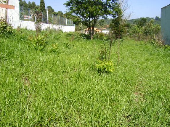 Imagem Terreno à Venda, 250 m² em Mairiporã