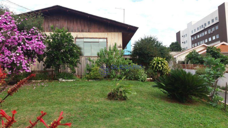 Imagem Casa com 4 Quartos à Venda, 180 m² em Centro - Toledo Imagem Casa com 4 Quartos à Venda, 180 m² em Centro - Toledo