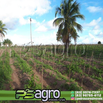 Imagem Sala Comercial à Venda, 80.000 m² em Conde Imagem Sala Comercial à Venda, 80.000 m² em Conde