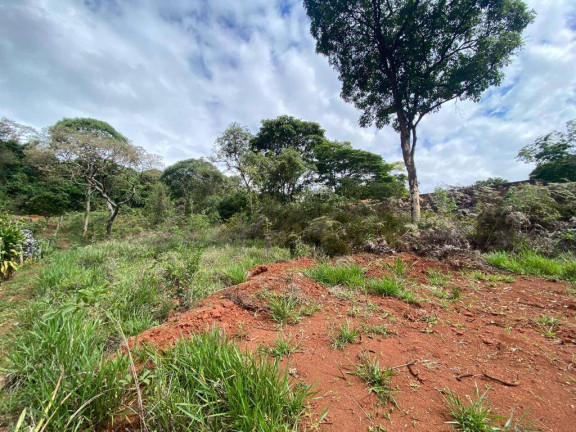 Imagem Terreno à Venda, 2 m² em Santa Terezinha De Minas - Itatiaiuçu Imagem Terreno à Venda, 2 m² em Santa Terezinha De Minas - Itatiaiuçu