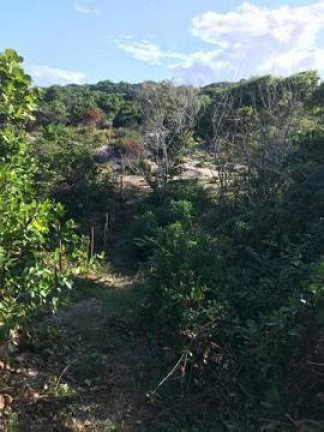 Imagem Terreno à Venda, 19.000 m² em Tibau Do Sul Imagem Terreno à Venda, 19.000 m² em Tibau Do Sul