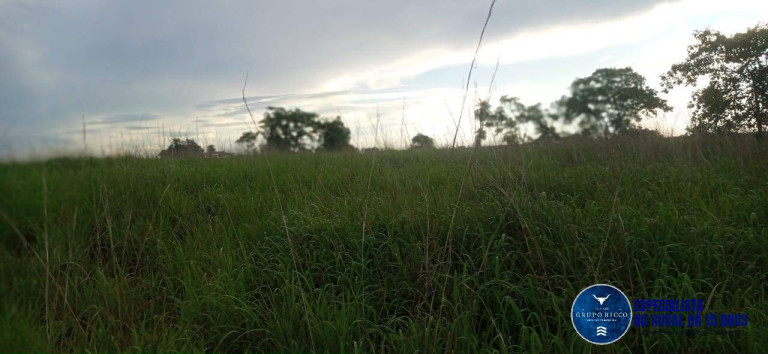 Imagem Fazenda à Venda, 86 m² em Zona Rural - Montes Claros De Goiás Imagem Fazenda à Venda, 86 m² em Zona Rural - Montes Claros De Goiás