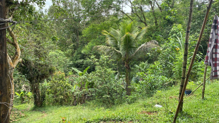 Imagem Chácara com 1 Quarto à Venda, 60 m² em Igrejinha - Itariri Imagem Chácara com 1 Quarto à Venda, 60 m² em Igrejinha - Itariri