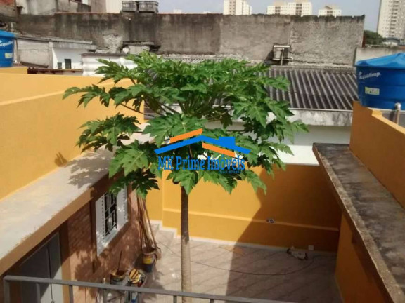 Imagem Casa com 8 Quartos à Venda, 203 m² em Rio Pequeno - São Paulo Imagem Casa com 8 Quartos à Venda, 203 m² em Rio Pequeno - São Paulo