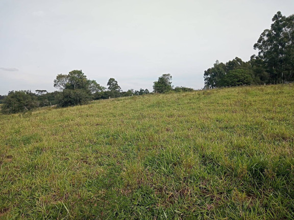 Chácara à Venda, 10.000 m² em águas Claras - Viamão