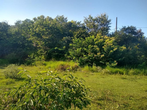 Imagem Imóvel à Venda, 874 m² em Palmeiras - Guaraparia