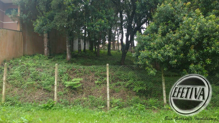 Imagem Terreno à Venda, 495 m² em Santa Felicidade - Curitiba Imagem Terreno à Venda, 495 m² em Santa Felicidade - Curitiba
