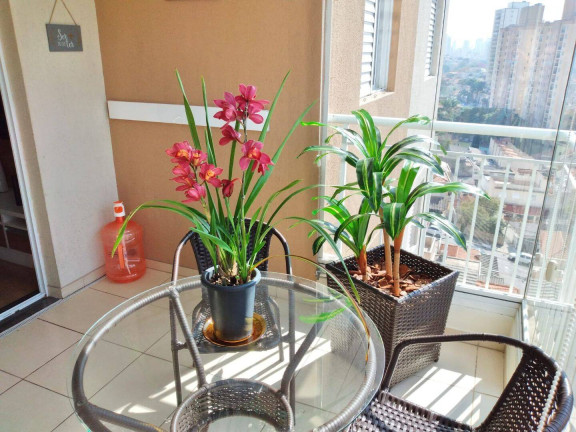 Imagem Apartamento com 3 Quartos à Venda, 80 m² em Vila Das Mercês - São Paulo Imagem Apartamento com 3 Quartos à Venda, 80 m² em Vila Das Mercês - São Paulo