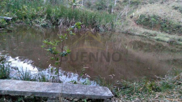 Imagem Imóvel com 3 Quartos à Venda, 470 m² em Jaguari - São José Dos Campos Imagem Imóvel com 3 Quartos à Venda, 470 m² em Jaguari - São José Dos Campos