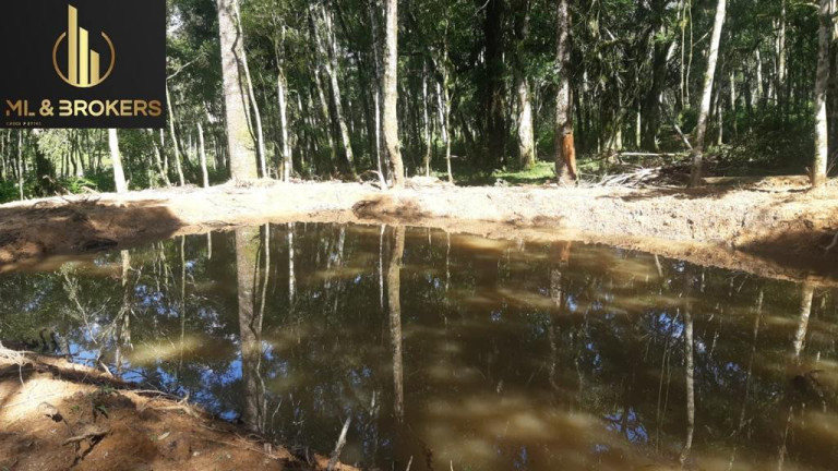 Imagem Imóvel à Venda, 20.000 m² em Quitandinha - Quitandinha Imagem Imóvel à Venda, 20.000 m² em Quitandinha - Quitandinha